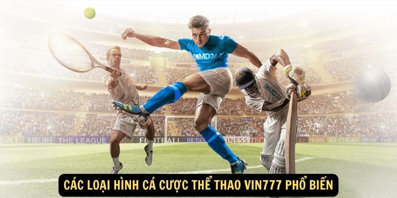 Các loại hình cá cược Thể Thao Vin777 phổ biến