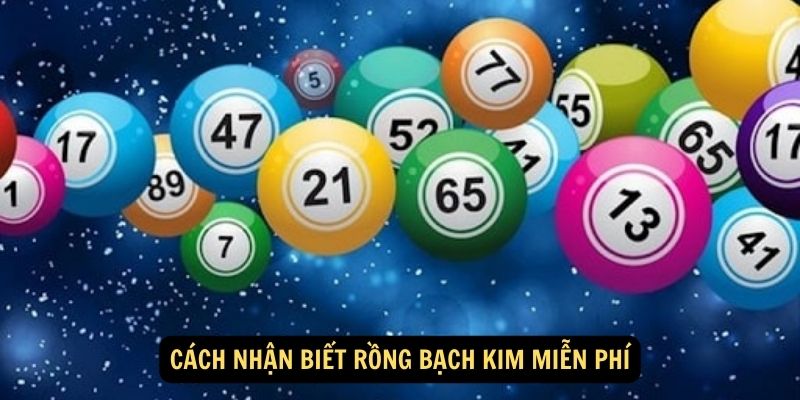 Cách nhận biết Rồng Bạch Kim Miễn Phí