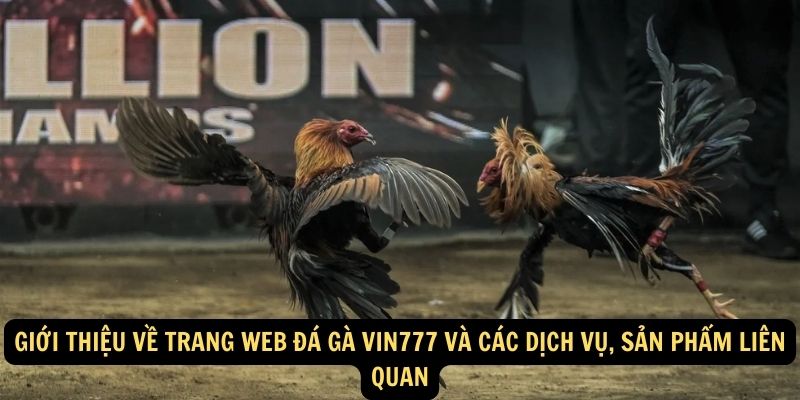 Giới thiệu về trang web Đá Gà vin777 và các dịch vụ, sản phẩm liên quan