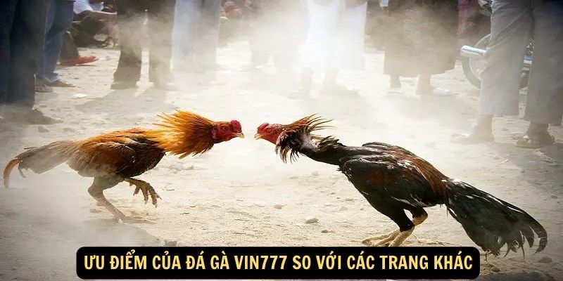 Uu diem cua Da Ga vin777 so voi cac trang khac